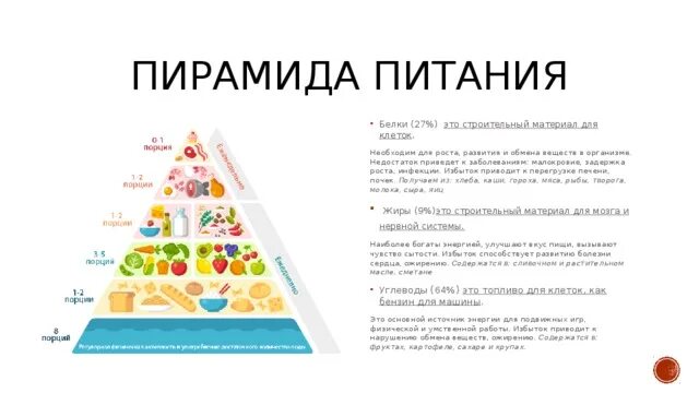 Основу базис пирамиды питания составляют. Основу базис пирамиды питания составляют