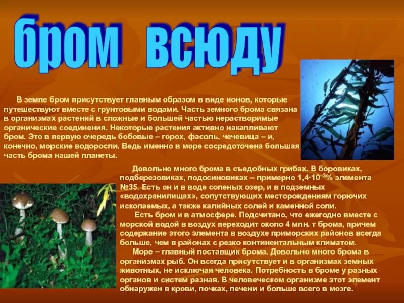 Бром содержится в морской воде. Бром и его соединения. бром в организме. бром в окружающей среде. растения накапливающие бром.
