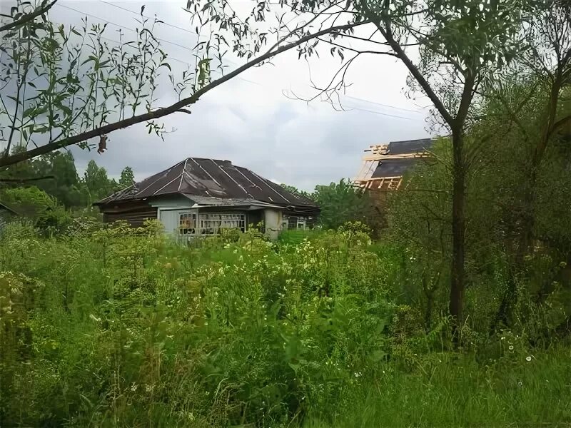 Погода в никифорово серпуховской. Погода в никифорово серпуховской. Деревня никифорово московская область. Деревня никифорово. Деревня никифорово.