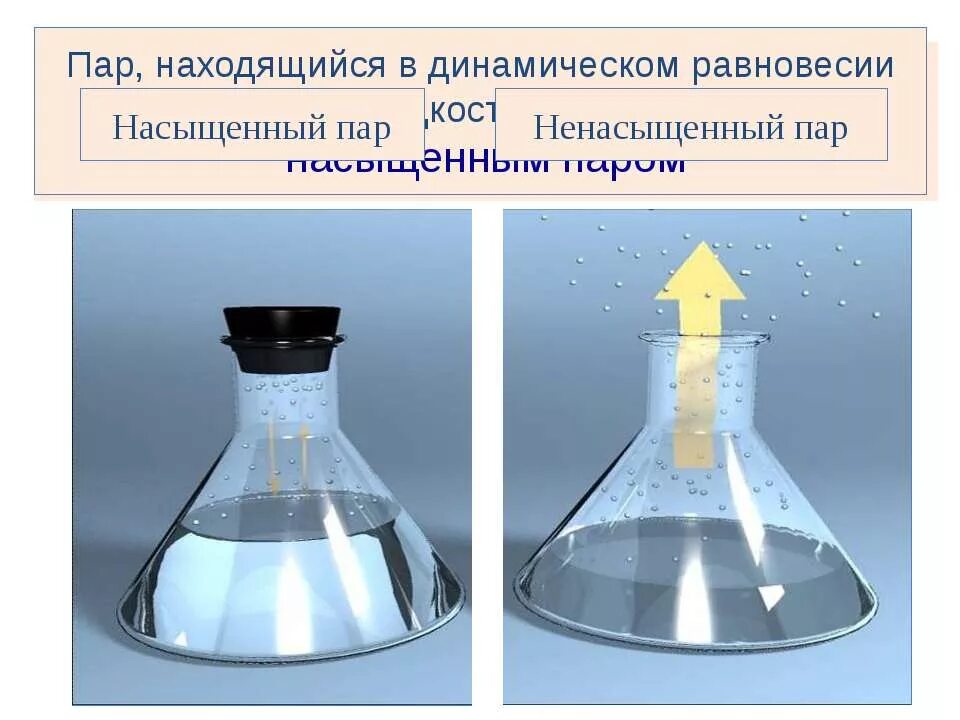 Динамическое равновесие насыщенный пар. Равновесие жидкости и пара. Динамическое равновесие жидкости. Ненасыщенный водяной пар. Динамическое равновесие между паром и жидкостью.
