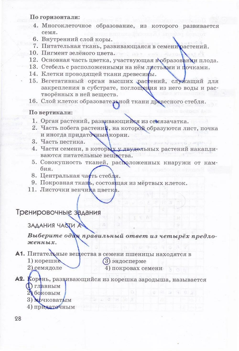 Биология 5 класс рабочая тетрадь пасечник. Биология 6 класс пасечник стр 29. Биология 6 класс рабочая тетрадь пасечник стр. География 6 класс учебник пасечник. Биология 6 класс рабочая тетрадь пасечник.