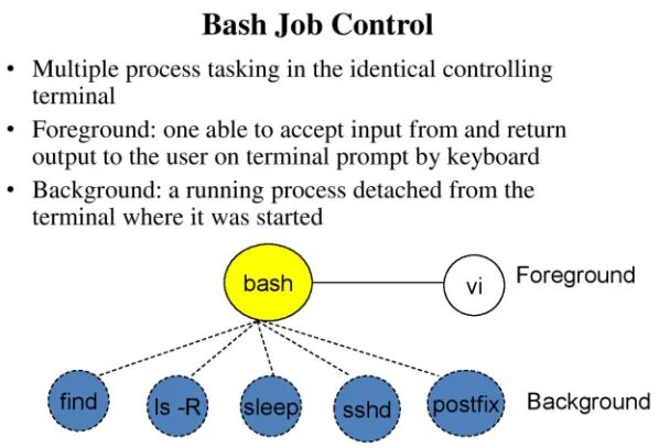 Control linux. Jobs linux. что делает jobs в linux.