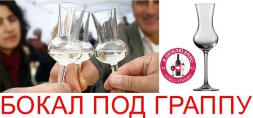 Граппа как пить
