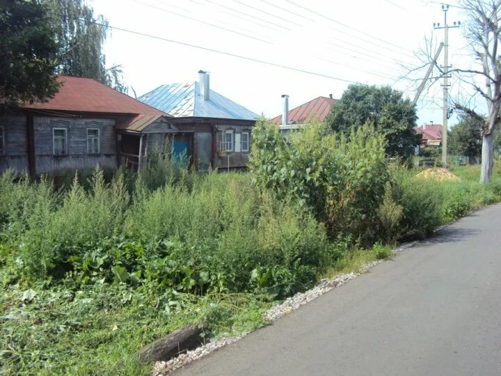 Село Хреновое Бобровского района Воронежской области. Бобровский район Хреновое Хреновое Воронежская область. Хреновое Бобровский район Воронежская область ул большая. Село Хреновое Бобровского района. Село хреновое бобровского