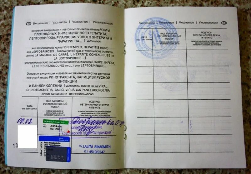 Вакцинация от коронавируса памятка. Какие документы нужны для прививки. Какие документы нужны для прививки. Причина отказа от прививки. Как правильно заполнять сертификат о прививках.