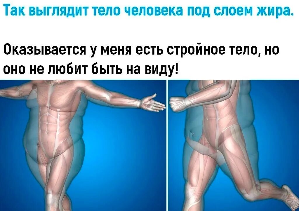 Нормальное Женское Тело - большая коллекция фоток для просмотра