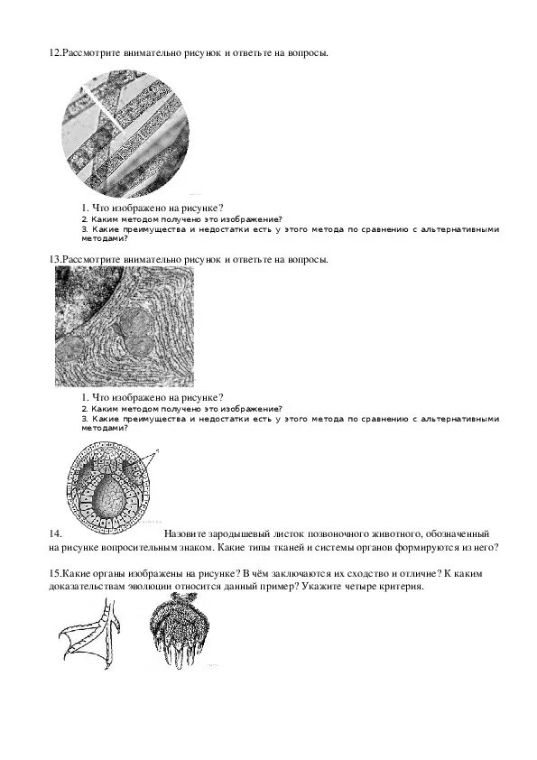 Что изображено на рисунке каким методом. Внимательно рассмотрите рисунок. Внимательно рассмотрите рисунок и ответьте на вопросы. Рассмотрите рисунок ответьте. ЕГЭ биология задания с рисунками 23.