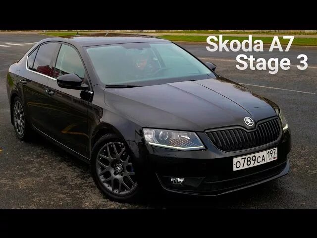 Skoda Octavia a7 1.8. Стейдж 1 шкода