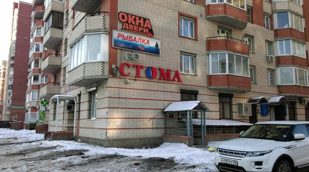 пушкинская 135/33. стома на коломяжском 26. стома на академической спб. стома савушкина. савушкина 135 корпус 4.