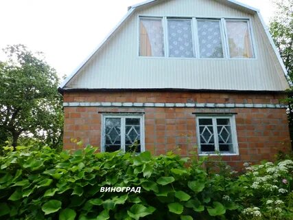 Снт окское нижегородская область