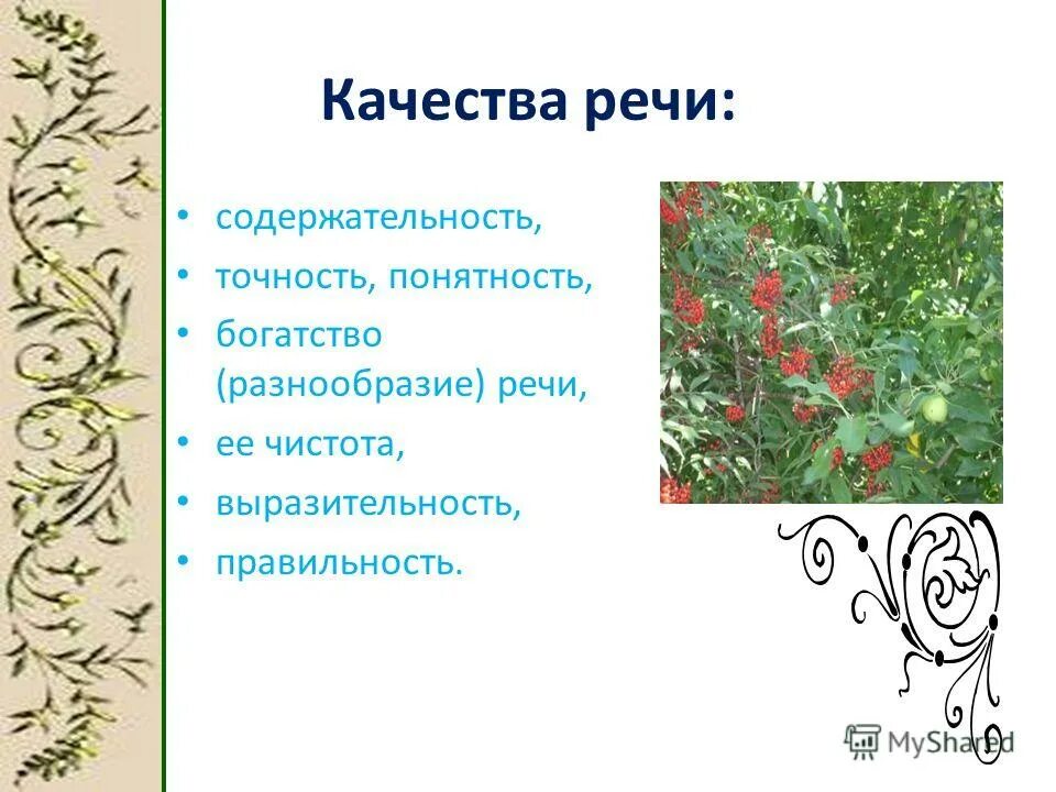 Богатство и выразительность русского языка примеры Почему русский язык называют богатым и выразительным