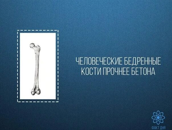 Товарный бетон м 250. Чем выше давление тем крепче бетон текст. Крепче бетон песня. Логотип бетон раствор. Песня чем выше давление тем крепче бетон.