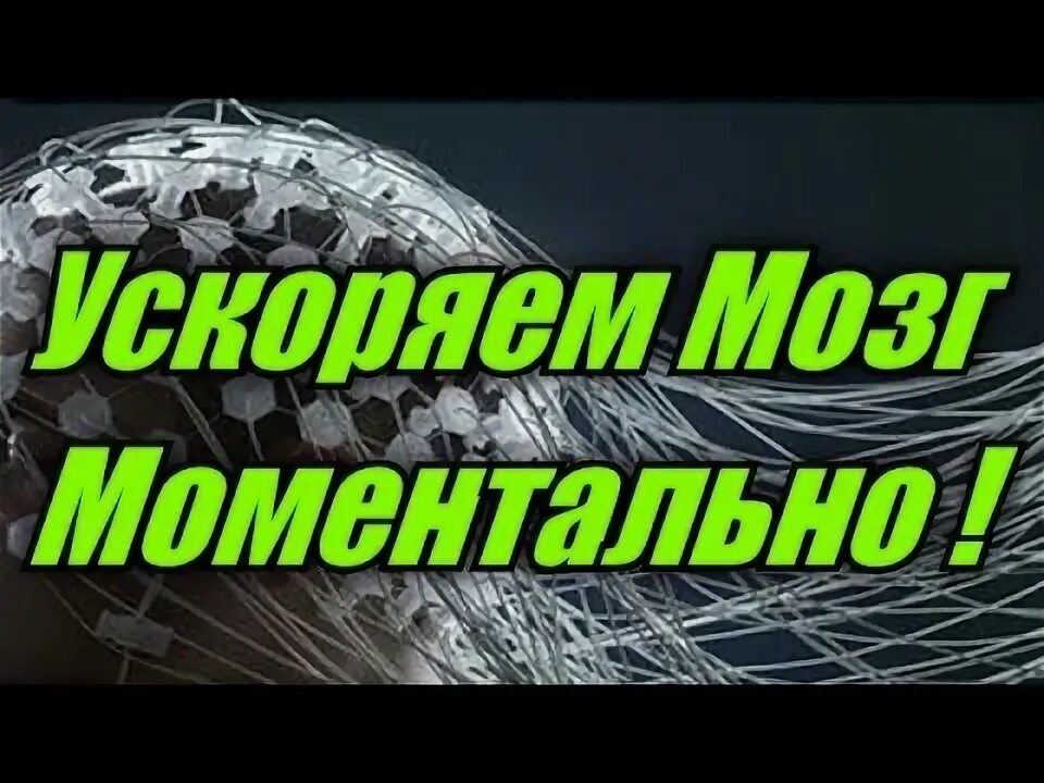 Как ускорить мозги. Как ускорить мозг в 10 раз. как ускорить работу мозга в 10 раз. как ускорить мозг.