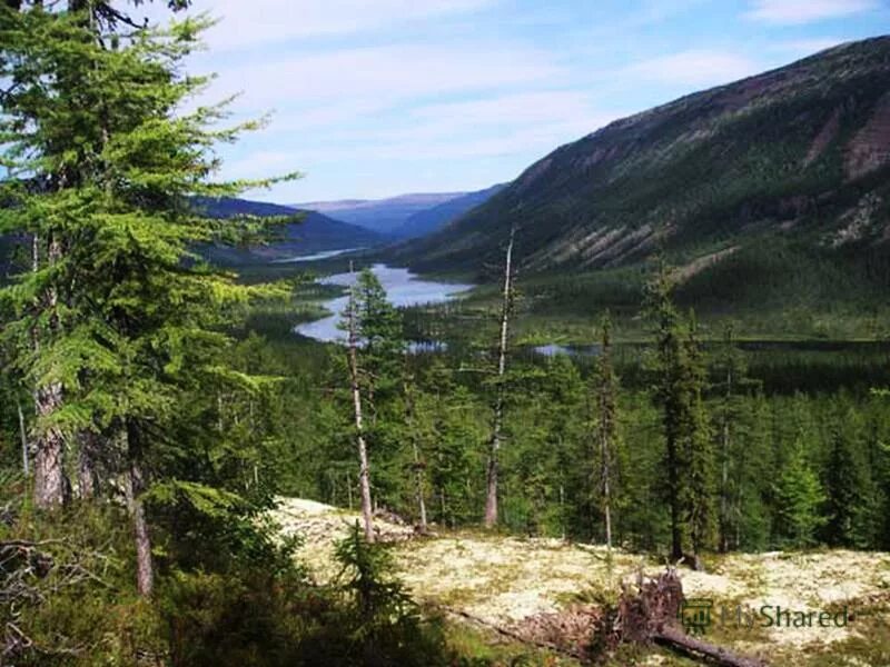 охраняемые территории заповедники. какие заповедники на территории европейского севера. какие заповедники на территории европейского севера. какие заповедники на территории европейского севера. крупнейшие заповедники россии на карте.
