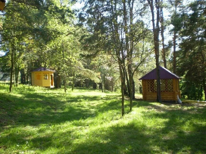 Пансионат МЧС Звенигород. Санаторий Солнечный Звенигород. Пансионат Солнечный Подмосковье МЧС. Пансионат Солнечный Звенигород.