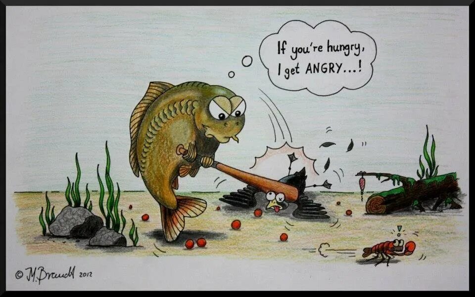 Окунь кофе болото скороговорка. Карась карикатура. Смешные рыбы. Рыбалка карикатуры. Карп прикол.