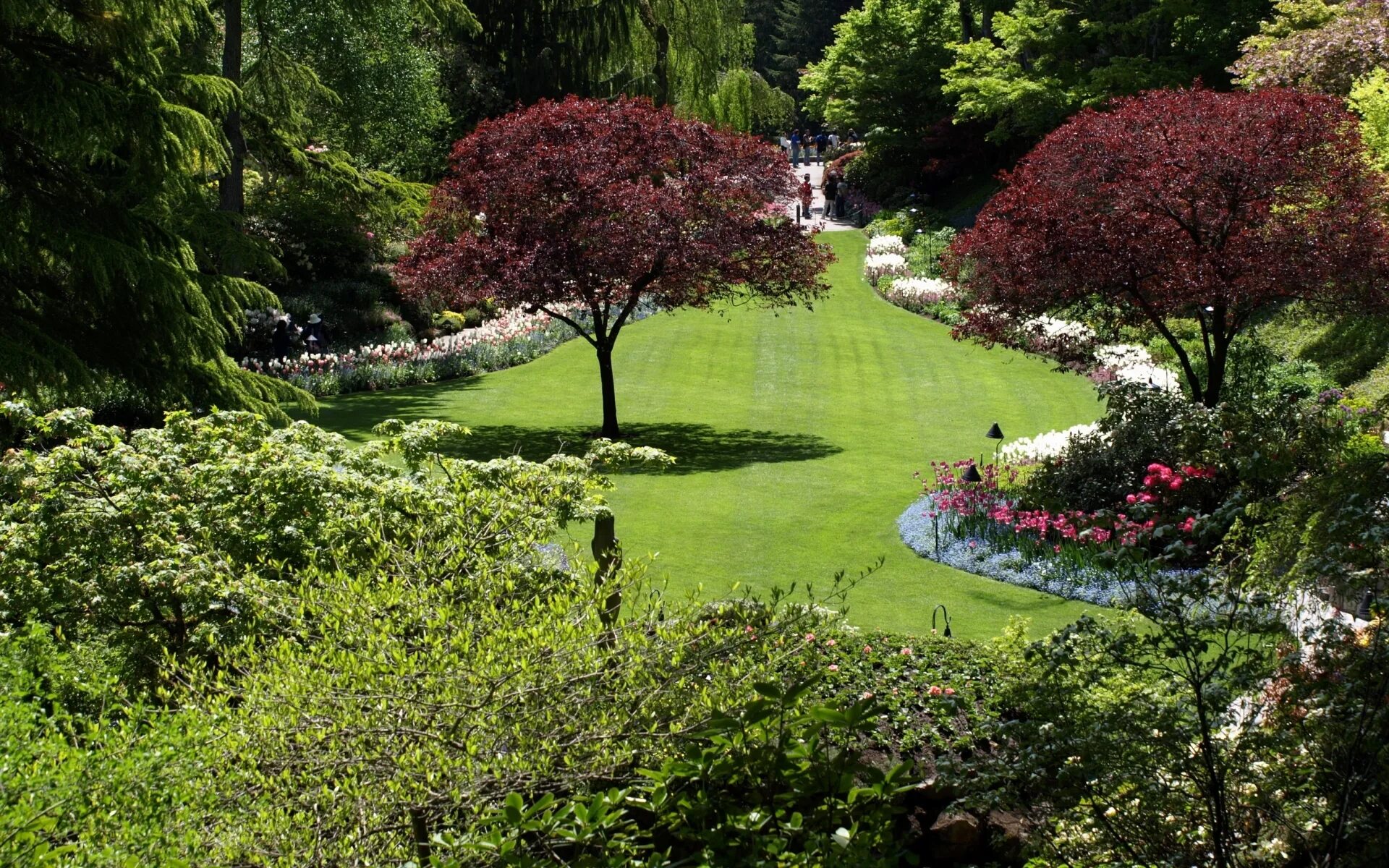 Сад лучшие деревья. Butchart Gardens Канада. Ванкувер сады Бутчартов. Сады Бутчартов розарий.