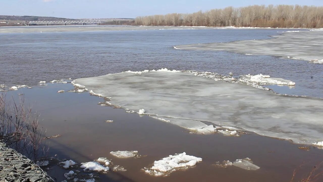 Ледоход в нижнем новгороде 2024. Ледоход на Вятке. Псков ледоход. Река Вятка ледоход Кировской области. Ледоход на Вятке 2023.