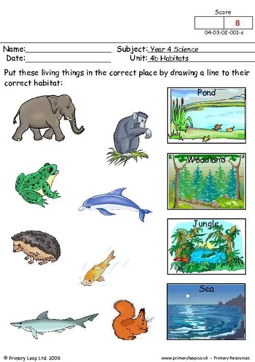 Where animals Live Worksheets. Where do animals Live Worksheets. Animals and their Habitats. Animal Habitat for Kids.