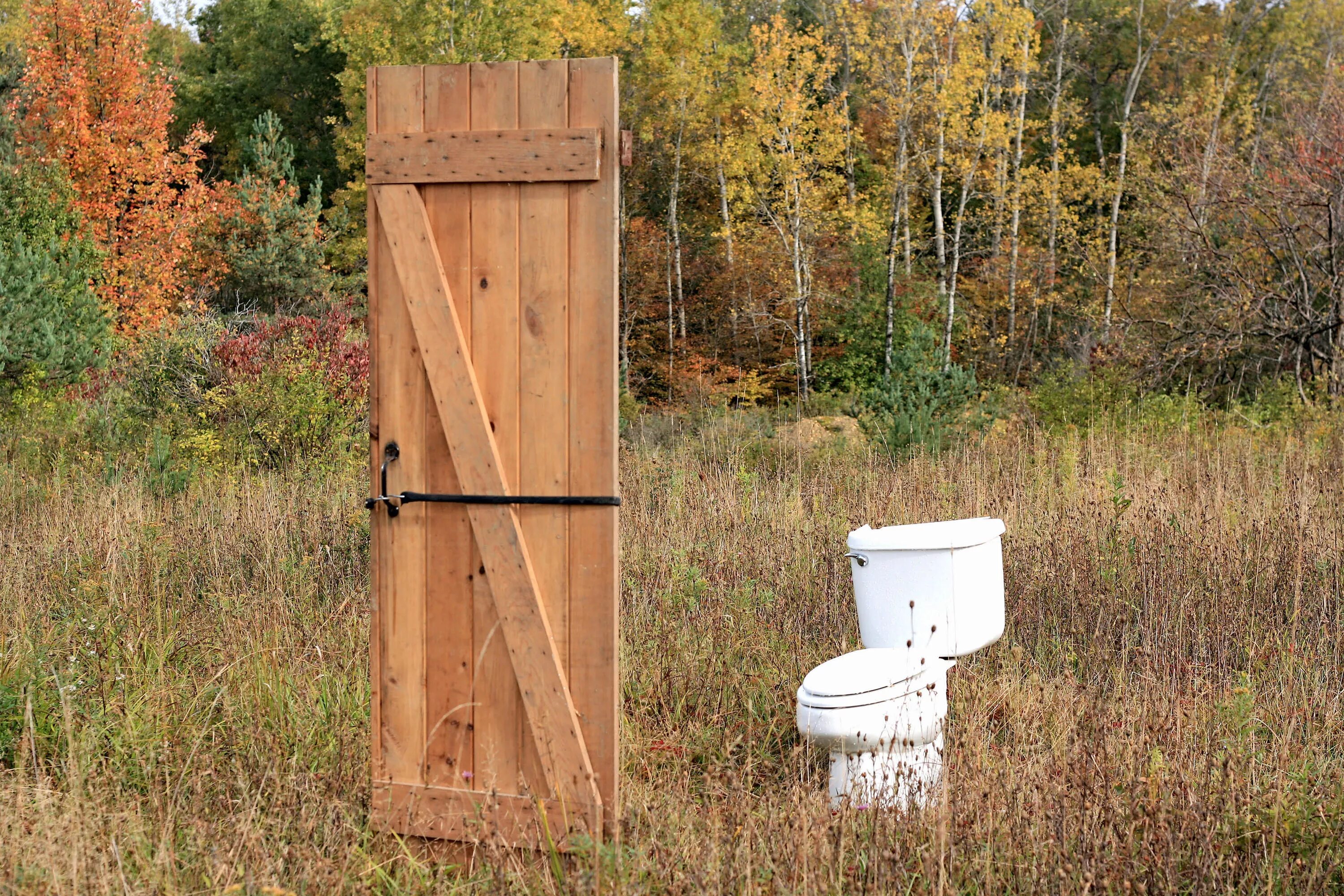 Для туалета уличного переработка. Туалет дачный. Уличный туалет для дачи. Садовый туалет деревянный. Деревенский уличный туалет.