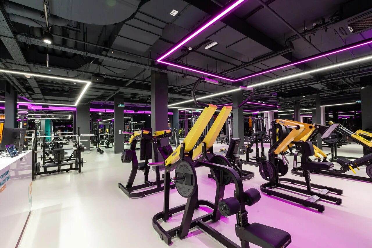 Ddx fitness ул маршала чуйкова 3: найдено 86 картинок