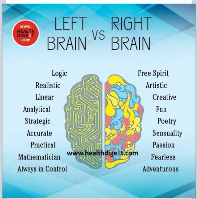 Brain vs brain. Left and right Brain. Left and right Brain functions. Left Brain right Brain. Brain left and right Hemisphere.