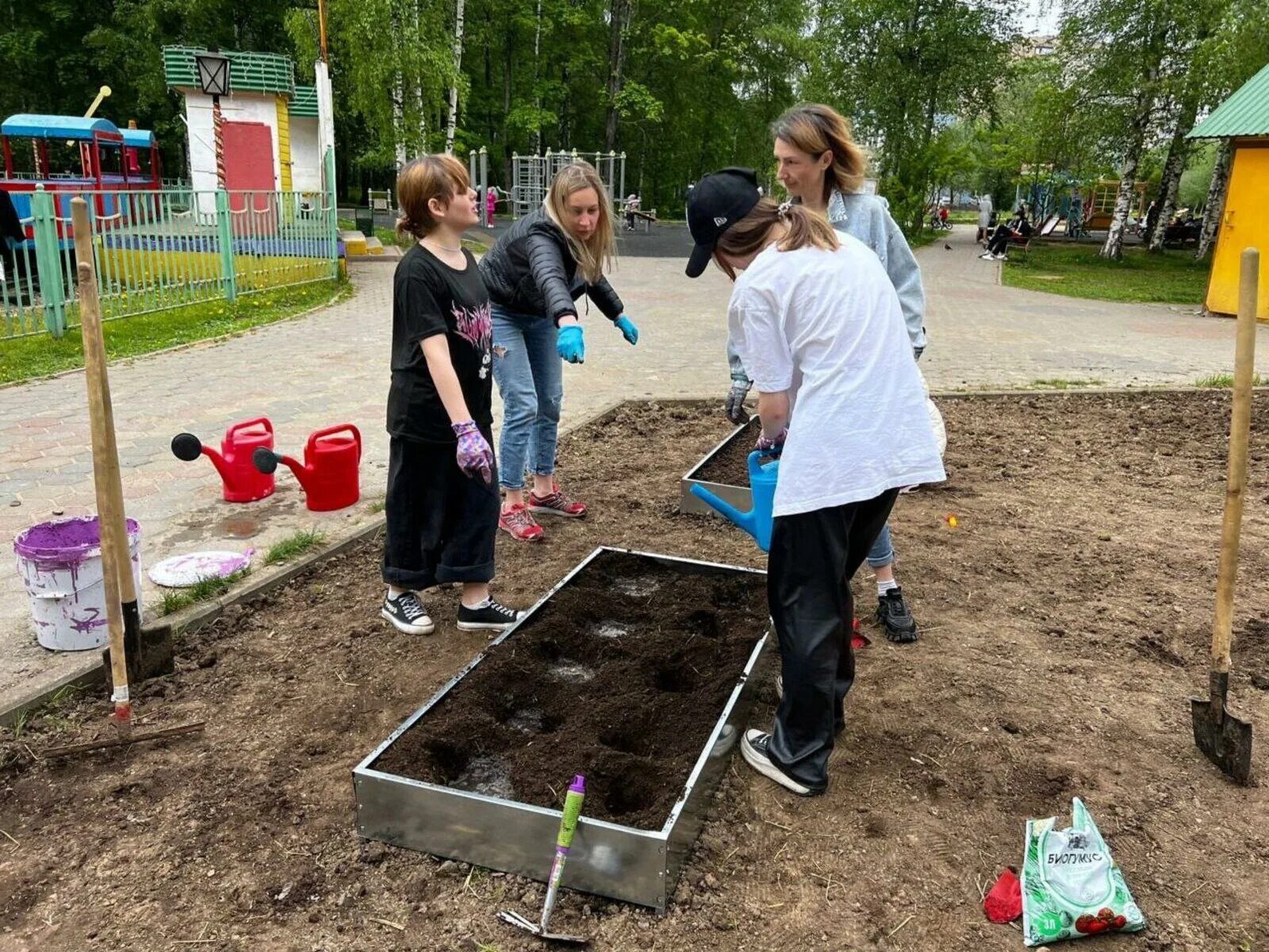 Огород урожай. Труд детей в огороде в доу. Огороде новости. Огород в школе. Летний огород.