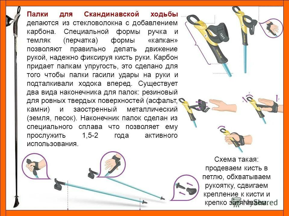 Как подобрать длину палок для скандинавской ходьбы по росту таблица. Скандинавские палки рост. Скандинавская ходьба палки размер рост 175. Балки для скандинавской ходьбы по росту. Высота палок для скандинавской ходьбы.