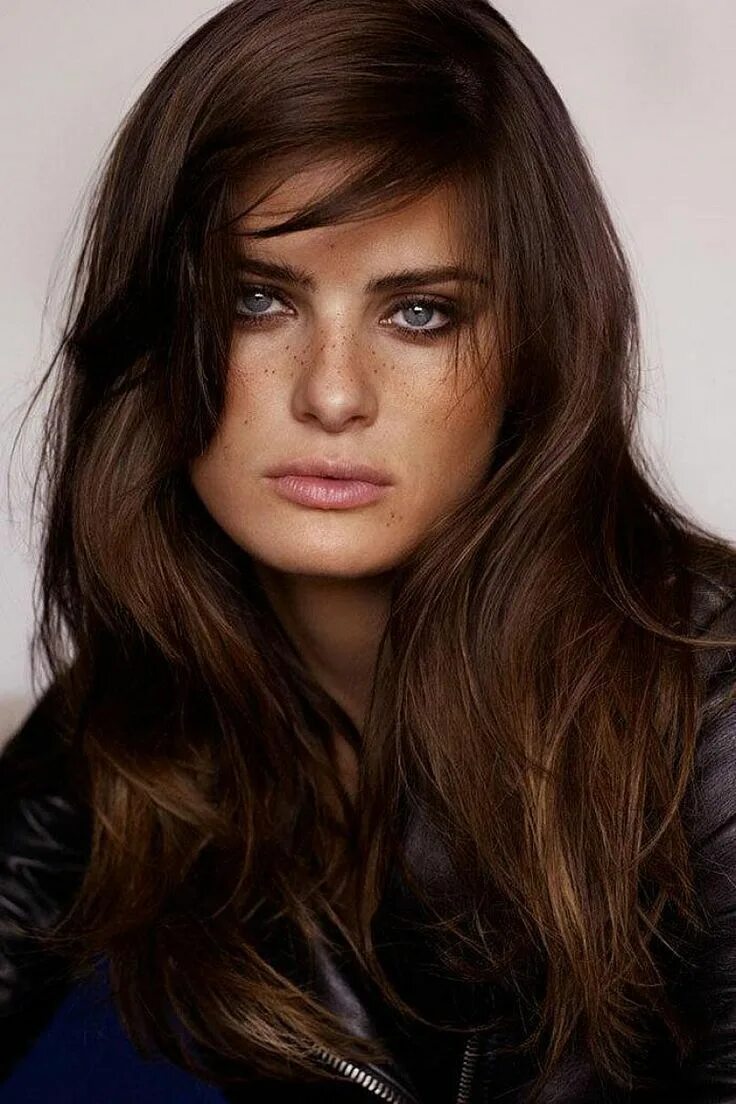 Dark Brown in 2024 Brown hair colors, Long hair styles, Brown hair cuts
