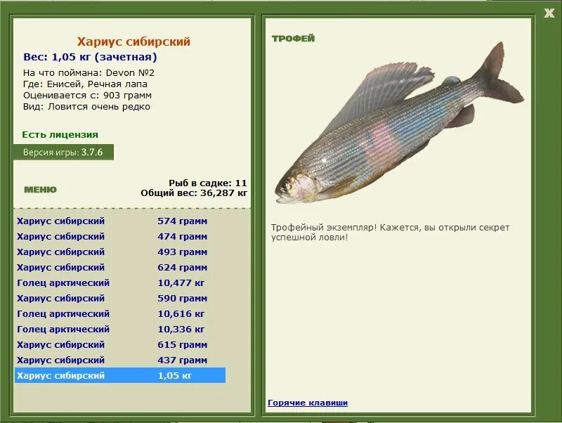 Какие рыбы можно поймать. Хариус Сибирский вес и рост. Хариус рыба размер. Хариус калорийность на 100. Хариус Размеры.