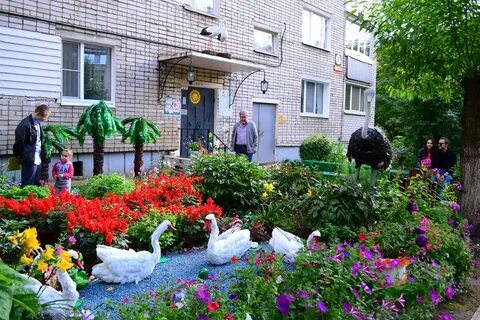 Цветы в кировском