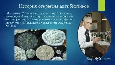 История открытия магазина