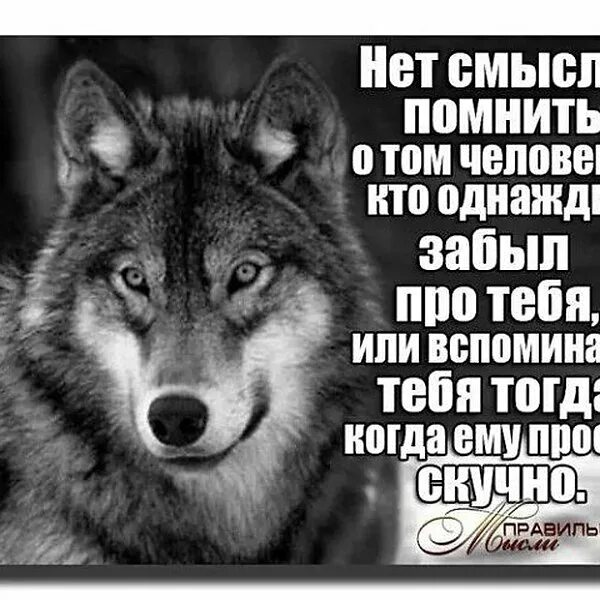 Ты знаешь что нибудь про