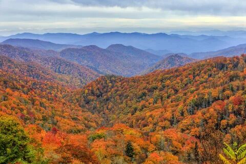 Fall but