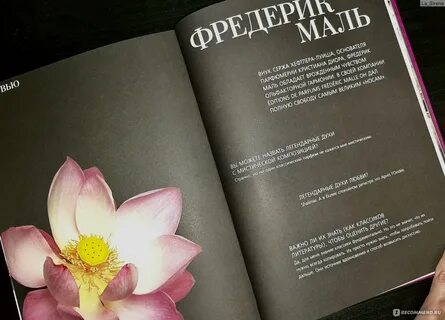 Идеальный отзывы
