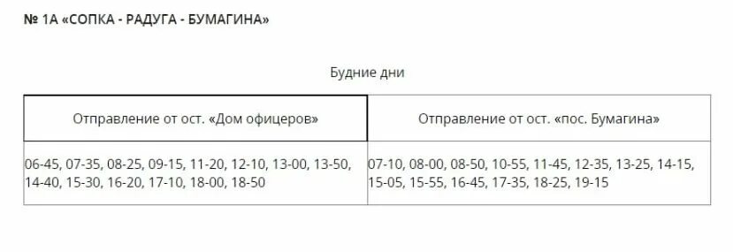 Расписание автобусов Биробиджан 101 Бумагина. Расписание городских автобусов Биробиджан 2022. Автобус Биробиджан сопка. Бумагина сопка автобус Биробиджан.