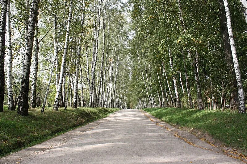 тула усадьба толстого. каменка ясная поляна. шелехов ясная поляна. шелехов ясная поляна. ясная поляна горка.