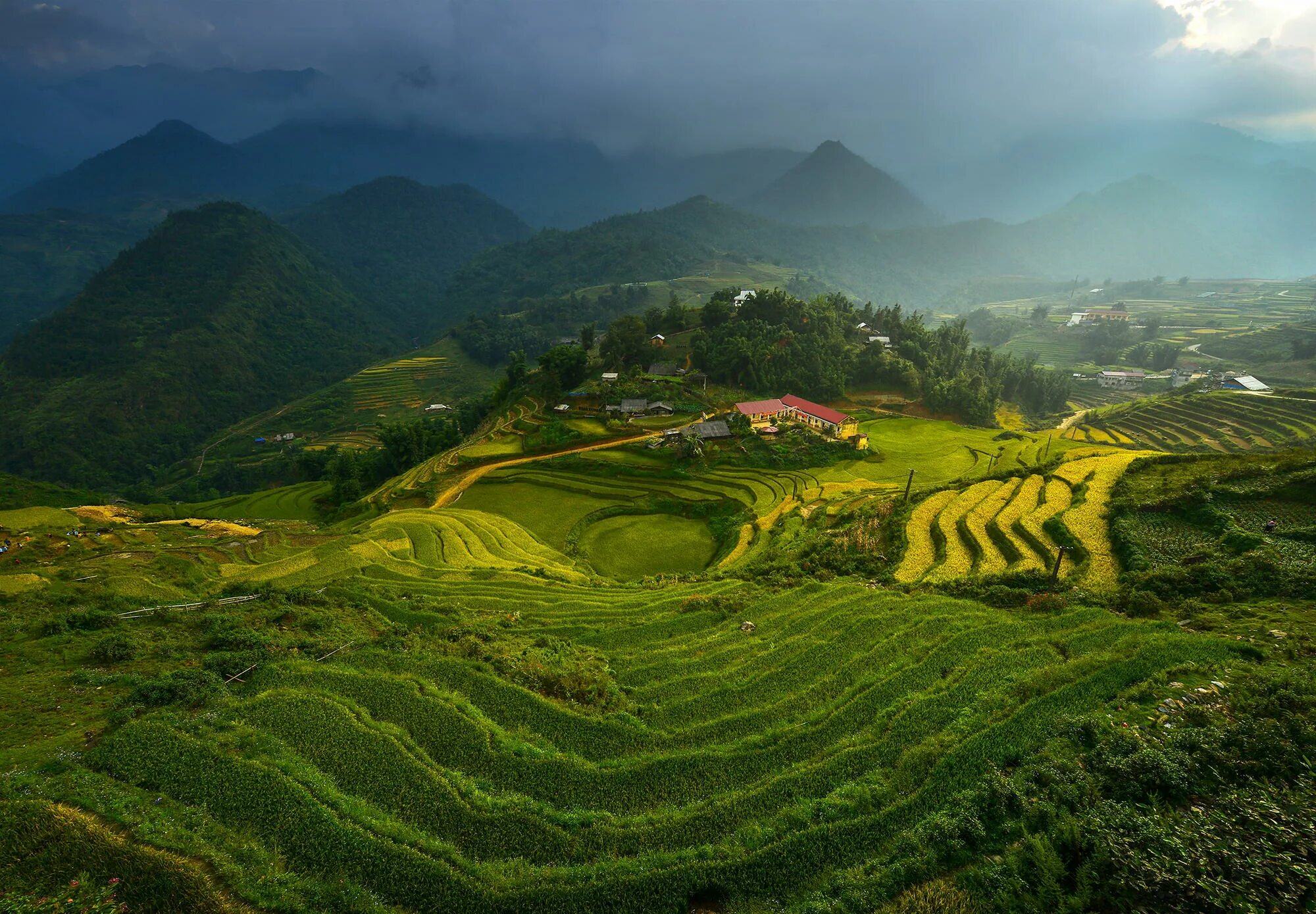 Дарджилинг чайные плантации. Чайные плантации в Китае. Террасные рисовые поля Вьетнам. Равнина намбо Вьетнам.