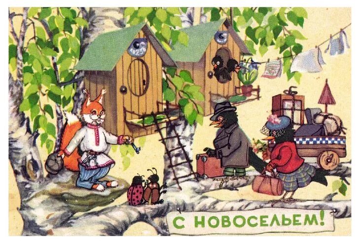 С новосельем муженек 