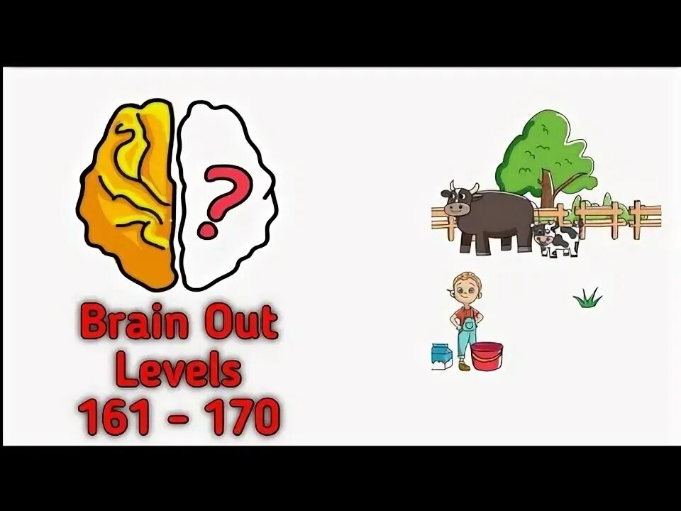 Brain 164