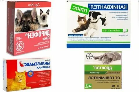 Лямблии у собак лечение