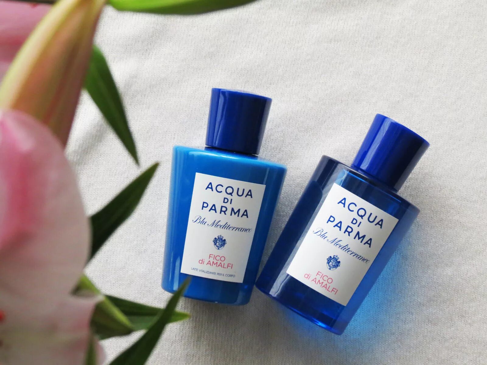 Blu Mediterraneo fico di Amalfi от acqua di Parma. Аромат acqua di Parma Blu Mediterraneo fico di Amalfi. Аква ди Парма fico di Amalfi. Для комнаты acqua di Parma Blu Mediterraneo fico di Amalfi.