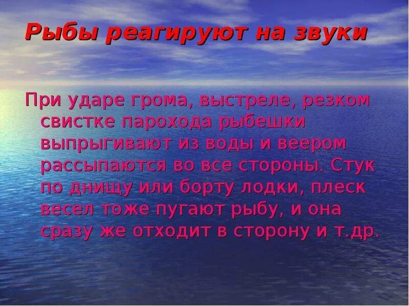 Они реагируют на звук