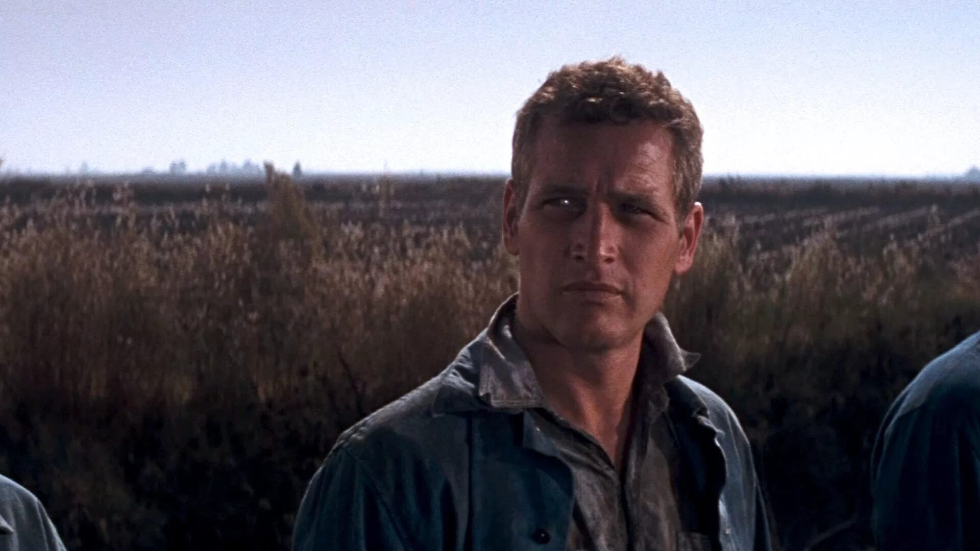 Хладнокровный люк (1967). Пол Ньюман хладнокровный люк. Cool hand Luke 1967 Paul Newman. Холодный люк