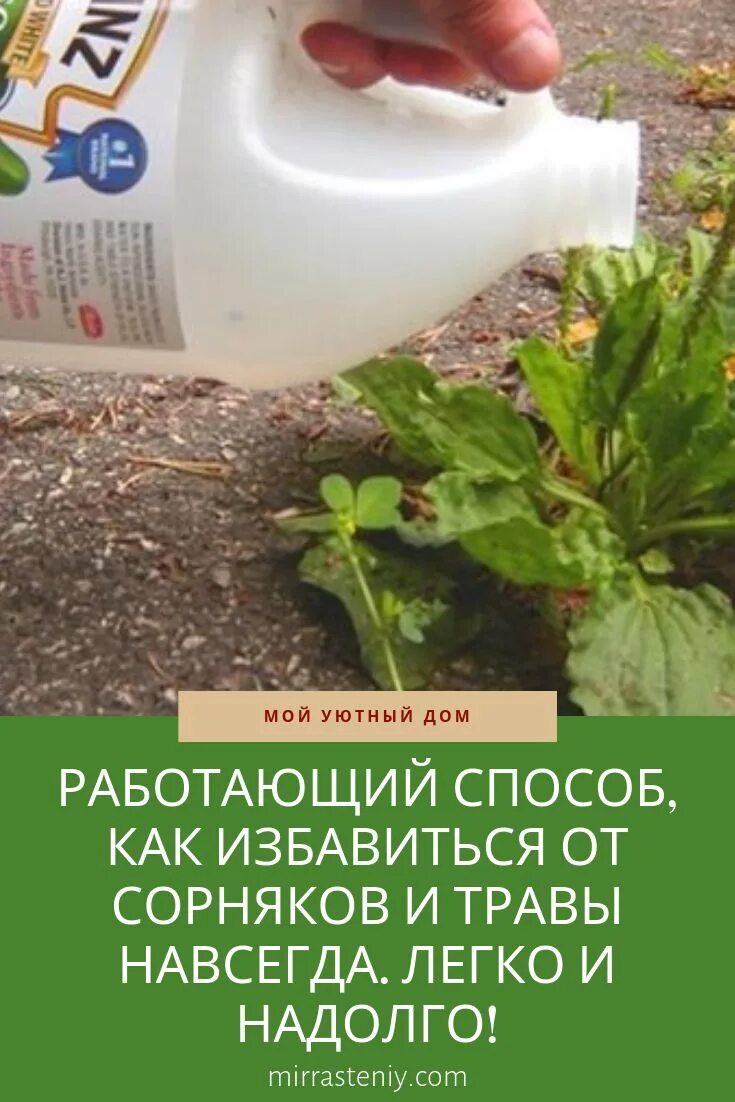 Лучшее от сорняков и травы навсегда. Препараты от сорняков на огороде. Эффективное средство от сорняков на огороде. Народные способы от сорняков. Раствор от травы и сорняков.