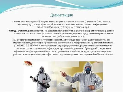 Дезинсекция проводится с целью уничтожения