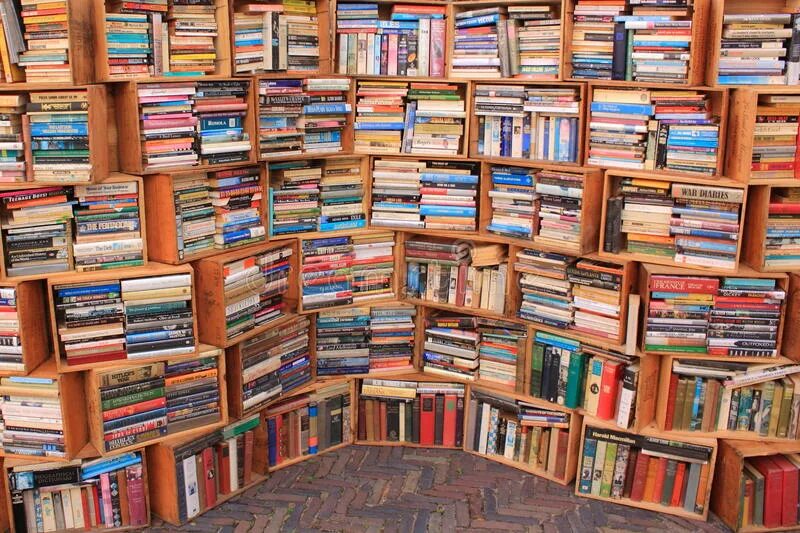 She a lot of books. Lots of books. A lot of books. Deventer book Market.