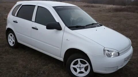 Калина 1 белая