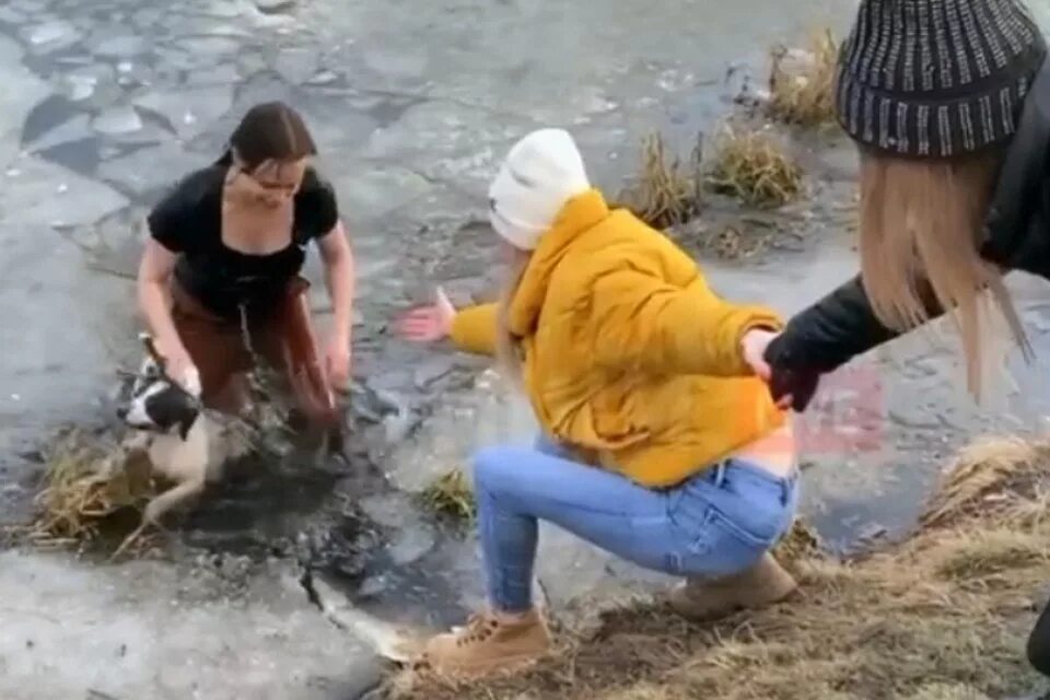 Девочка спасла маме жизнь