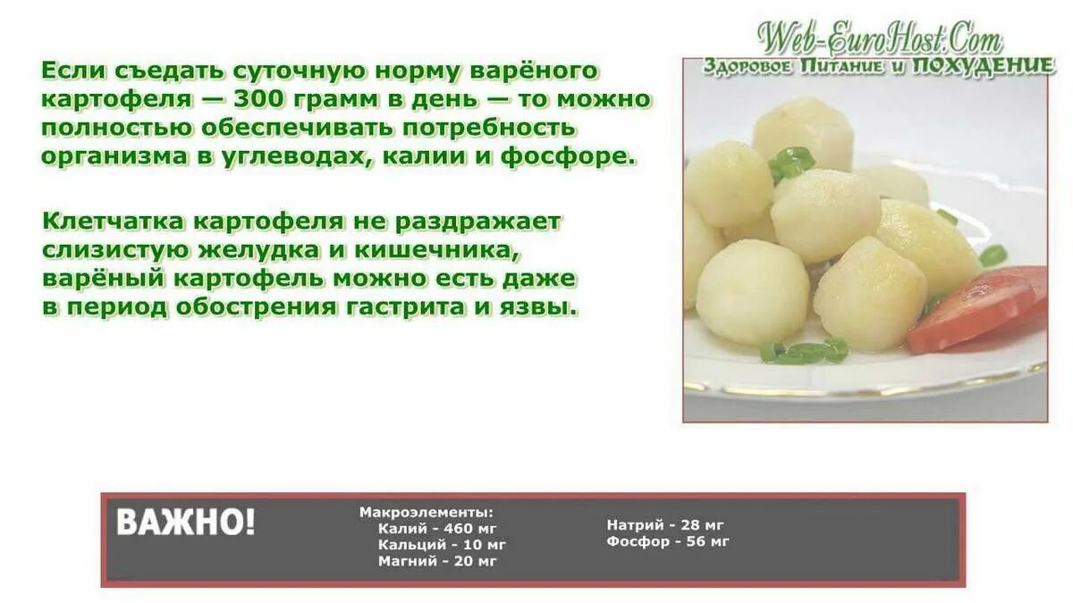 Можно собаке вареную картошку. Картофель при похудении. можно есть картошку при похудении. диета на вареной картошке. можно ли есть картошку.